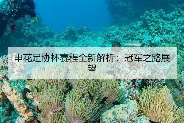 申花足协杯赛程全新解析：冠军之路展望